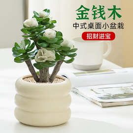 金钻植脂奶油与厨具卫具 烘焙世界的黄金搭档